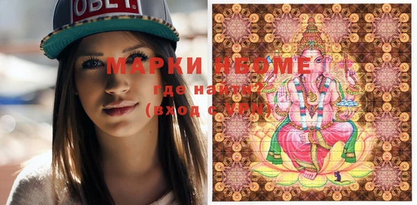 гидра Богданович