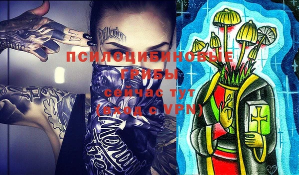 гидра Богданович