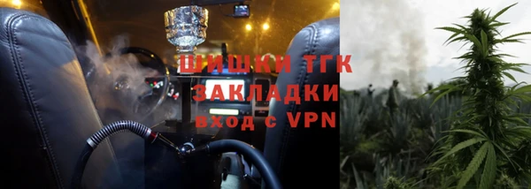 гидра Богданович