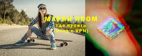 гидра Богданович