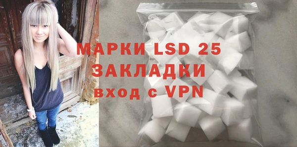 гидра Богданович