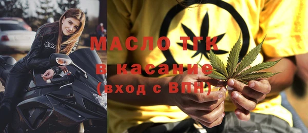 гидра Богданович